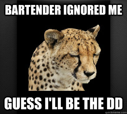 bartender ignored me guess i'll be the dd - bartender ignored me guess i'll be the dd  Defeated Cheetah