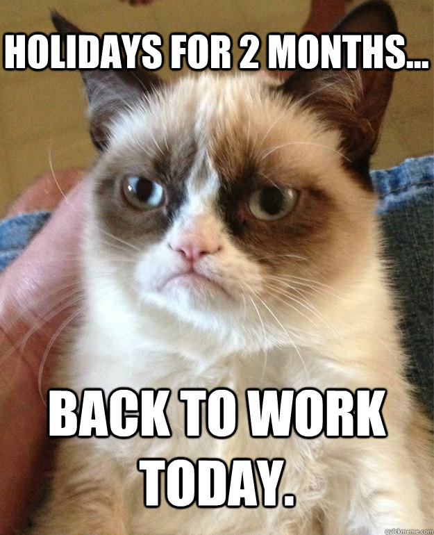 Holidays for 2 months... back to work today.  Grumpy Cat