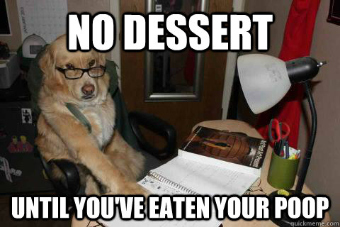 No dessert  Until you've eaten your poop  Disapproving Dog Dad