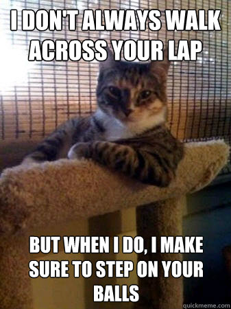 I don't always walk across your lap but when I do, I make sure to step on your balls   The Most Interesting Cat in the World