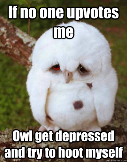 If no one upvotes me Owl get depressed and try to hoot myself  Depressed Baby Owl