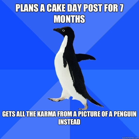 Plans a cake day post for 7 months  Gets all the karma from a picture of a penguin instead   Socially Awkward Penguin