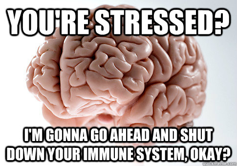 You're stressed? I'm gonna go ahead and shut down your immune system, okay?  Scumbag Brain