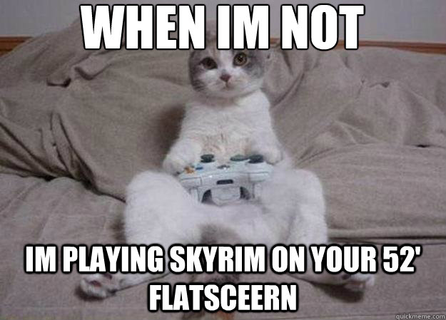 when im not letting you pet me im playing skyrim on your 52' flatsceern  