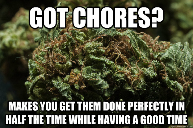 got chores? makes you get them done perfectly in half the time while having a good time  Good Guy Weed