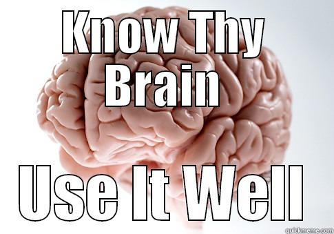 KNOW THY BRAIN USE IT WELL Scumbag Brain