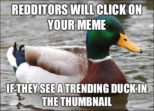 Redditors will click on your meme If they see a trending duck in the thumbnail   Actual Advice Mallard
