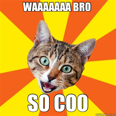 WAAAAAAA BRO  SO COO - WAAAAAAA BRO  SO COO  Bad Advice Cat