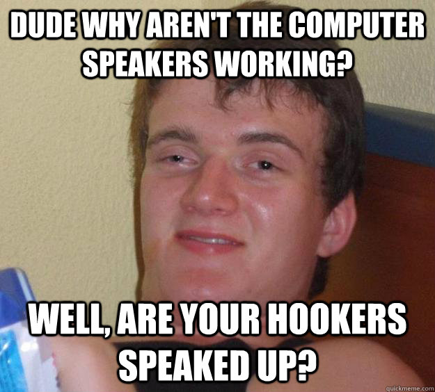 dude why aren't the computer speakers working? well, are your hookers speaked up?  10 Guy