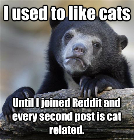 I used to like cats Until I joined Reddit and every second post is cat related.  Confession Bear
