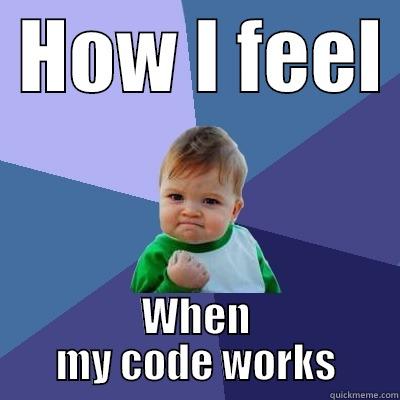  HOW I FEEL  WHEN MY CODE WORKS Success Kid