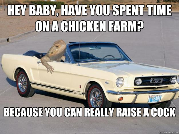 Hey baby, have you spent time on a chicken farm? because you can really raise a cock

  Pickup Dragon