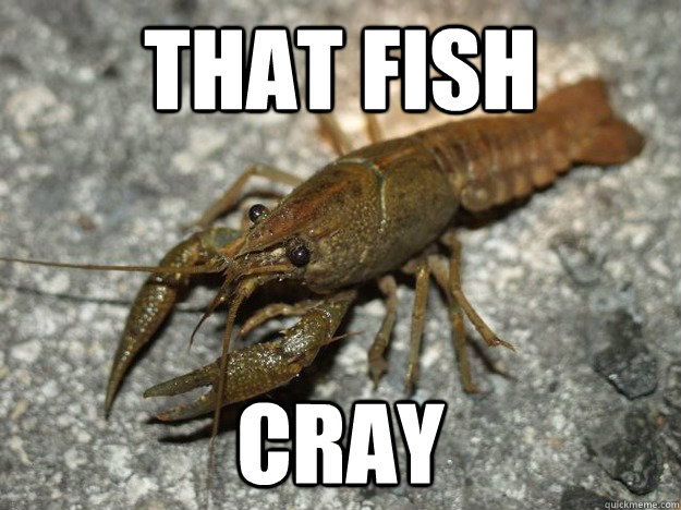 that fish cray - that fish cray  Misc