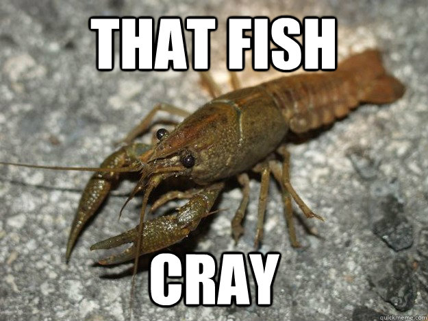 that fish cray  