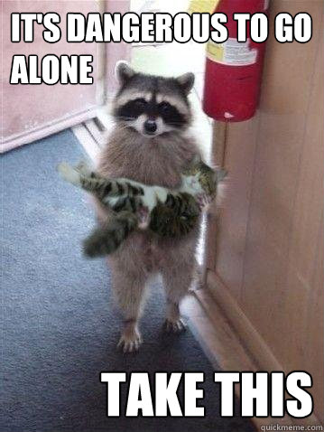 It's dangerous to go alone  Take this Caption 3 goes here - It's dangerous to go alone  Take this Caption 3 goes here  Dangerous Racoon