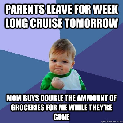 Parents leave for week long cruise tomorrow mom buys double the ammount of groceries for me while they're gone - Parents leave for week long cruise tomorrow mom buys double the ammount of groceries for me while they're gone  Success Kid