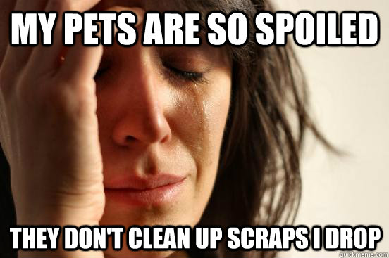 My pets are so spoiled they don't clean up scraps I drop  First World Problems