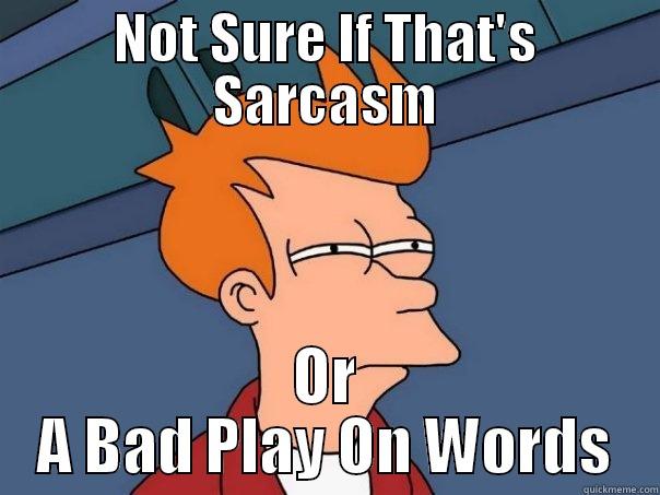 NOT SURE IF THAT'S SARCASM OR A BAD PLAY ON WORDS Futurama Fry