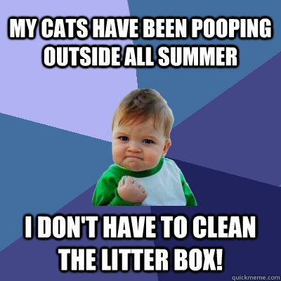 My cats have been pooping outside all summer I don't have to clean the litter box!  Success Kid