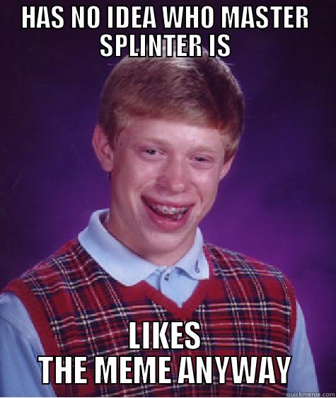 HAS NO IDEA WHO MASTER SPLINTER IS LIKES THE MEME ANYWAY Bad Luck Brian
