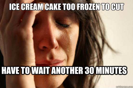 Ice cream cake too frozen to cut have to wait another 30 minutes  First World Problems