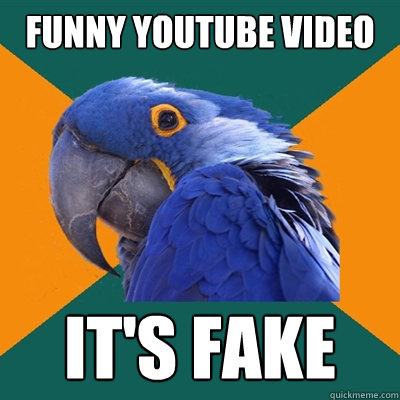 funny youtube video it's fake  Paranoid Parrot