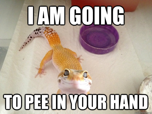 I am going to pee in your hand - I am going to pee in your hand  Misc