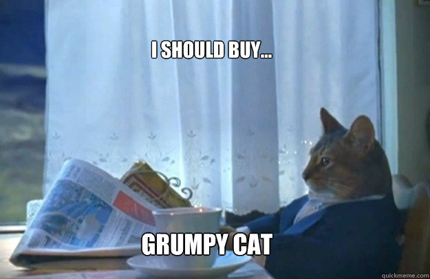 I should buy... grumpy cat  Sophisticated Cat
