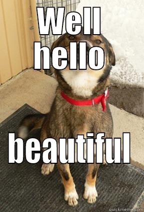 WELL HELLO BEAUTIFUL Good Dog Greg
