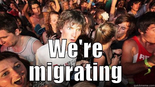  WE'RE MIGRATING Sudden Clarity Clarence