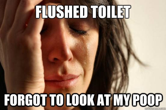 Flushed Toilet forgot to look at my poop  First World Problems