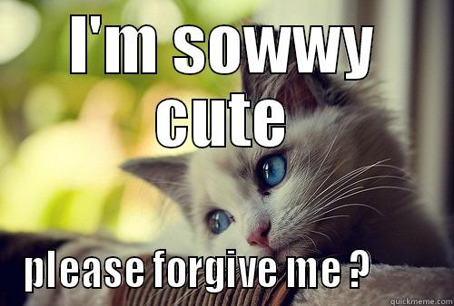 I'M SOWWY CUTE PLEASE FORGIVE ME ?        First World Problems Cat