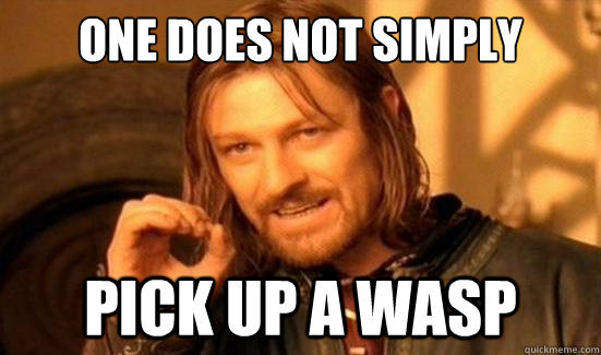 One Does Not Simply pick up a wasp  Boromir