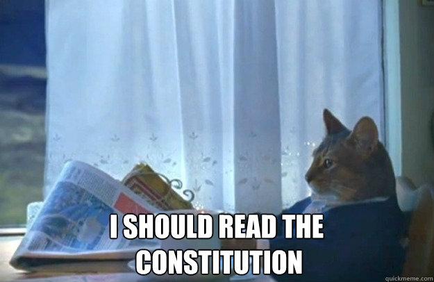  I should read the
 Constitution -  I should read the
 Constitution  Sophisticated Cat