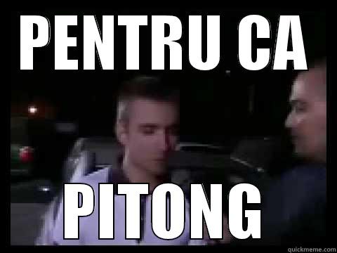 because... Pitong - PENTRU CA PITONG Misc