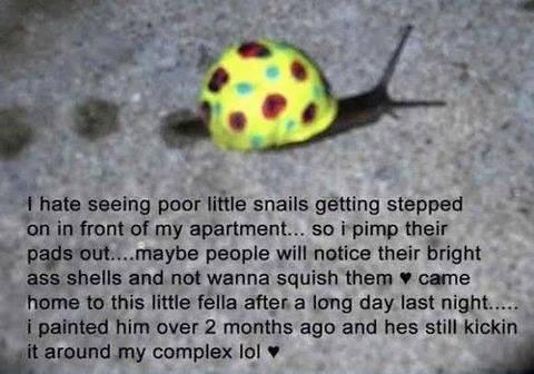 Found on my Facebook feed....save the snails! -   Misc