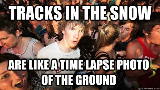 Tracks in the snow are like a time lapse photo of the ground  Sudden Clarity Clarence