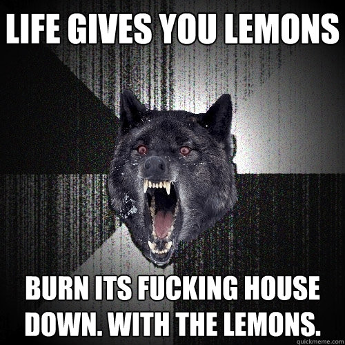LIFE GIVES YOU LEMONS BURN ITS FUCKING HOUSE DOWN. WITH THE LEMONS.  Insanity Wolf