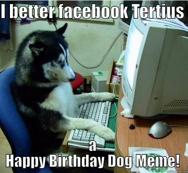 I BETTER FACEBOOK TERTIUS  A HAPPY BIRTHDAY DOG MEME! Disapproving Dog