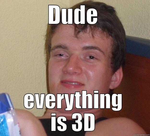 DUDE EVERYTHING IS 3D 10 Guy