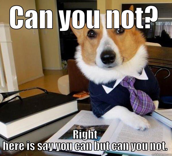 CAN YOU NOT? RIGHT HERE IS SAY YOU CAN BUT CAN YOU NOT. Lawyer Dog