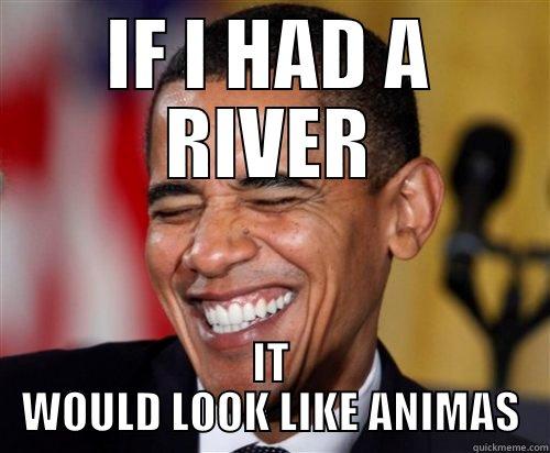 IF I HAD A RIVER IT WOULD LOOK LIKE ANIMAS Scumbag Obama