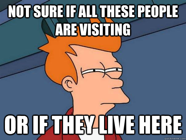 Not sure if all these people are visiting  Or if they live here  Futurama Fry
