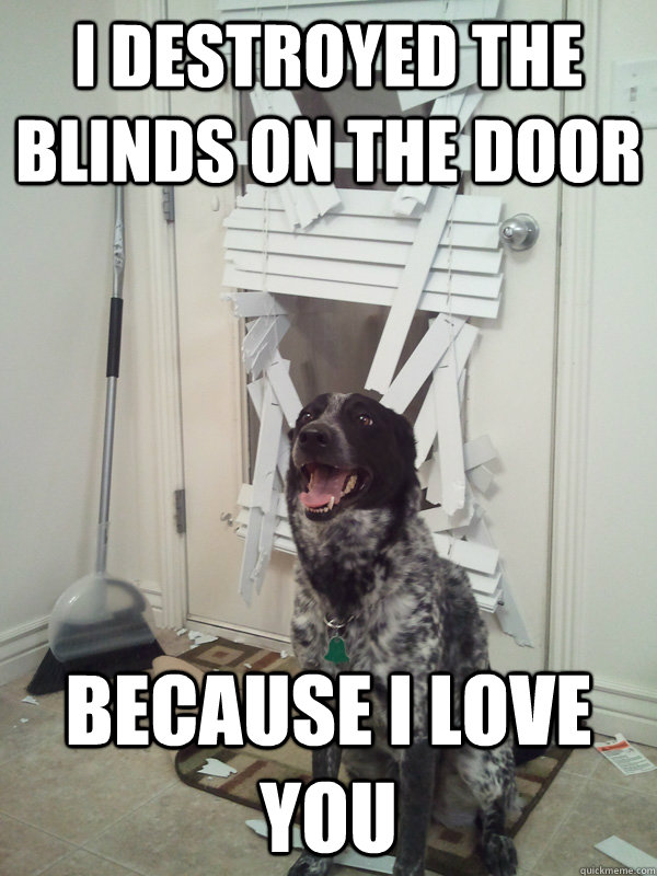 I destroyed the blinds on the door because i love you - I destroyed the blinds on the door because i love you  It wont happen again. I promise