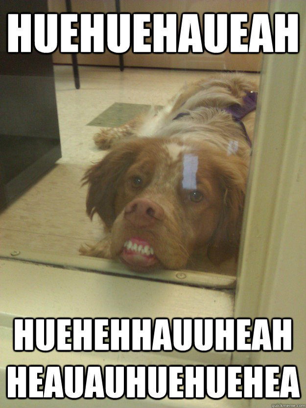 huehuehaueah huehehhauuheahheauauhuehuehea - huehuehaueah huehehhauuheahheauauhuehuehea  Misc