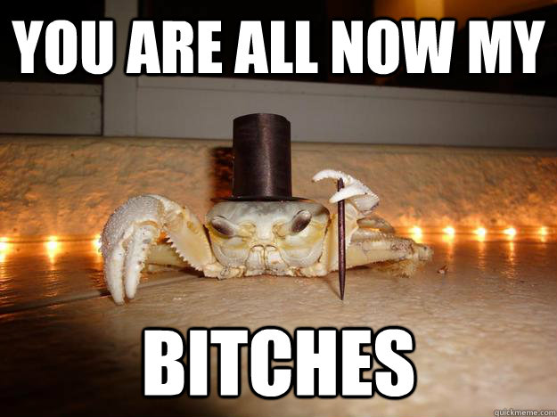 you are all now my BITCHES  Fancy Crab