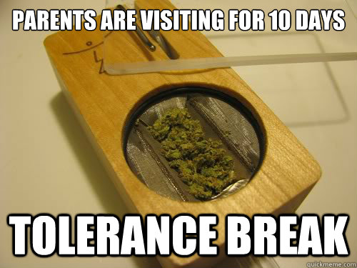 Parents are visiting for 10 days Tolerance break - Parents are visiting for 10 days Tolerance break  mflb of tolerance