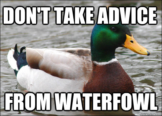 Don't take advice  From waterfowl  Actual Advice Mallard