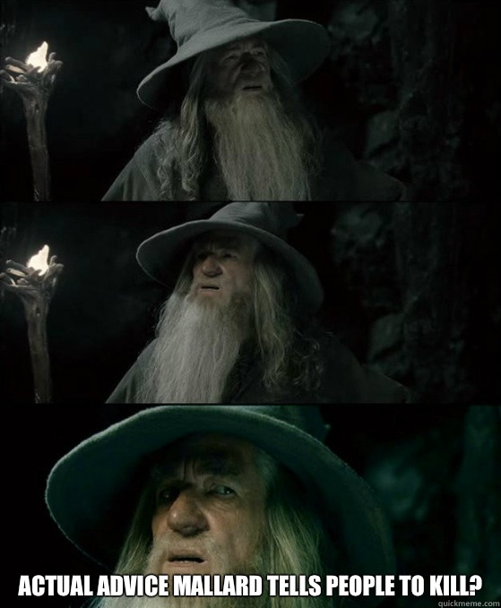  ACTUAL ADVICE MALLARD TELLS PEOPLE TO KILL?  Confused Gandalf