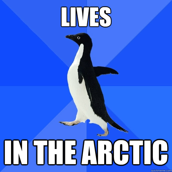 lives in the arctic  Socially Awkward Penguin